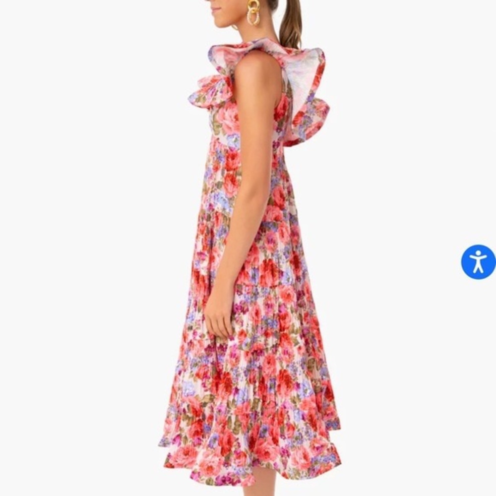 NWT Tuckernuck Beulah Zimmermann Inspired Lovestruck Rita Floral Party Dress